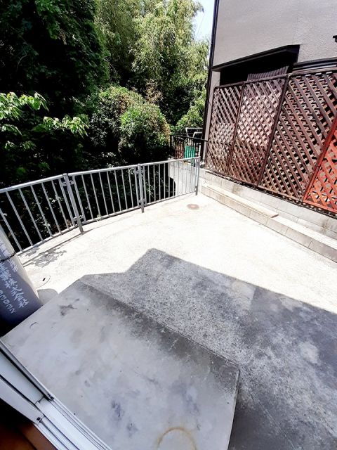 庭
