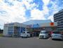 ドラックストア　ウエルシア薬局泉佐野大宮店（ドラッグストア）まで300m