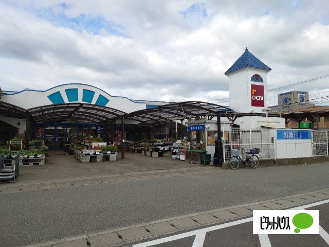 ホームセンター　ＤＣＭ藍住店（ホームセンター）まで493m
