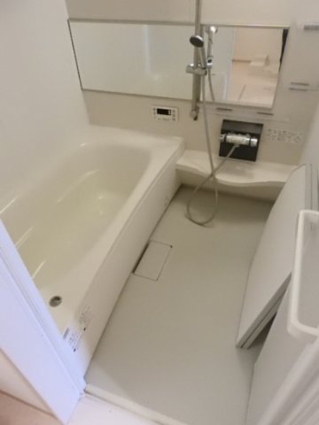 バス・シャワールーム　画像は別号室。ご参考にどうぞ