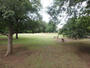 公園　梶野公園（公園）まで491m