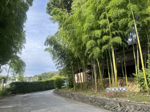 幼稚園・保育園　川和保育園（幼稚園・保育園）まで201m