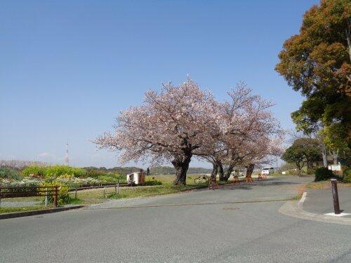 公園　佐鳴湖公園（公園）まで3284m