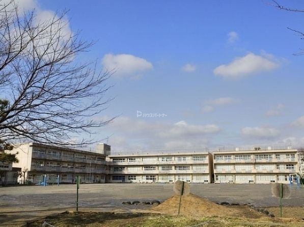 小学校　柏市立松葉第一小学校（小学校）まで510m