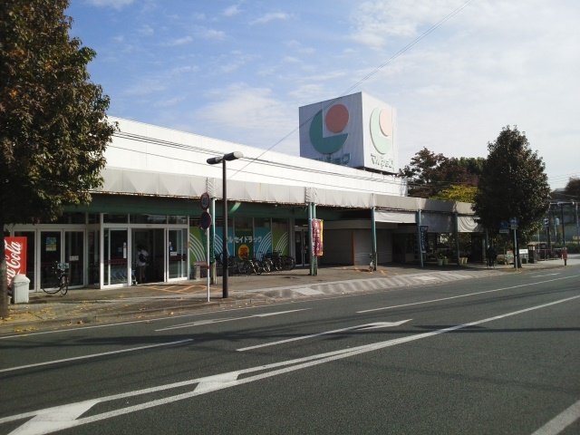 スーパー　マルショク保田窪店（スーパー）まで210m