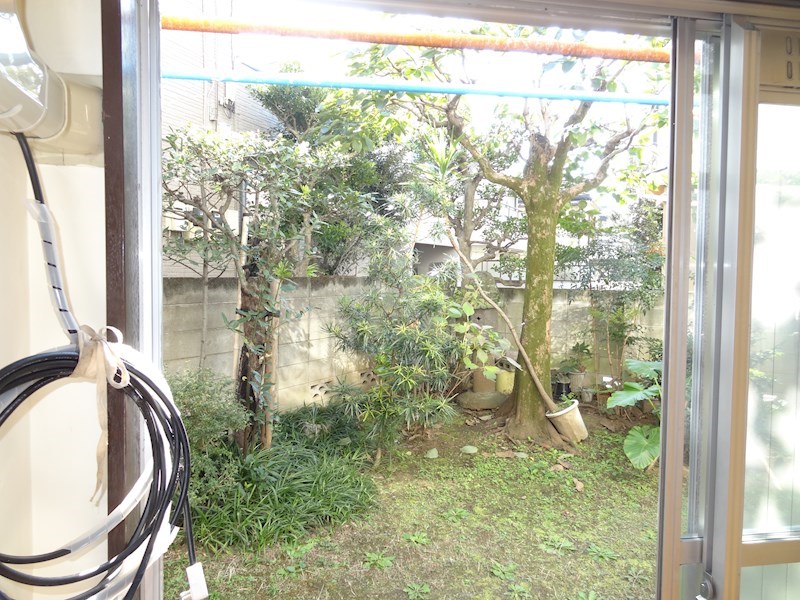 庭