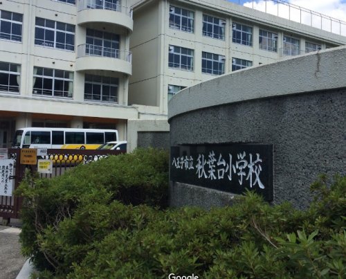 小学校　八王子市立秋葉台小学校（小学校）まで447m