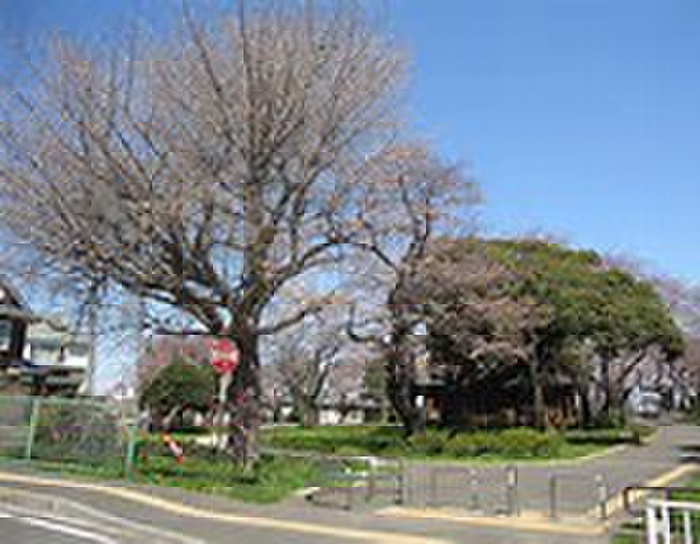 公園　柏葉公園（公園）まで260m