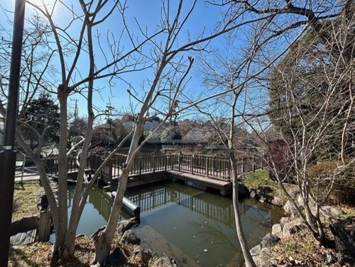 公園　白幡池公園（公園）まで643m