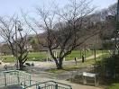 公園　大丸公園（公園）まで3300m