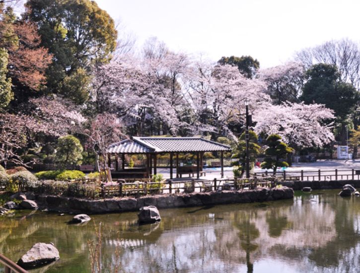 公園　戸越公園（公園）まで721m