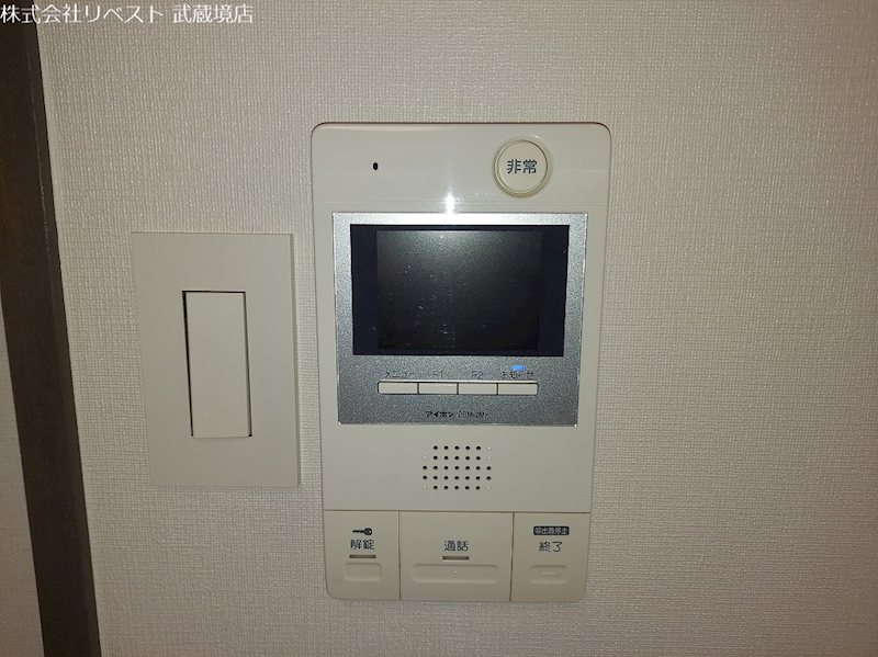 エバーグリーンのその他写真
