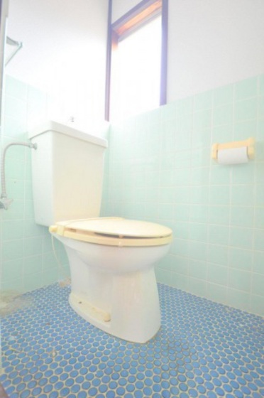 三上AEアパート B棟のトイレ写真