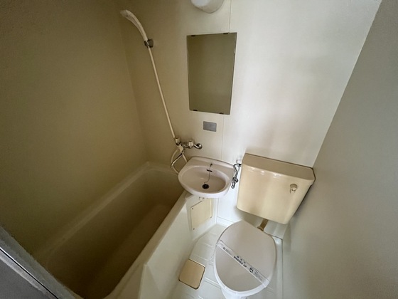 バス・シャワールーム　※別部屋の写真です