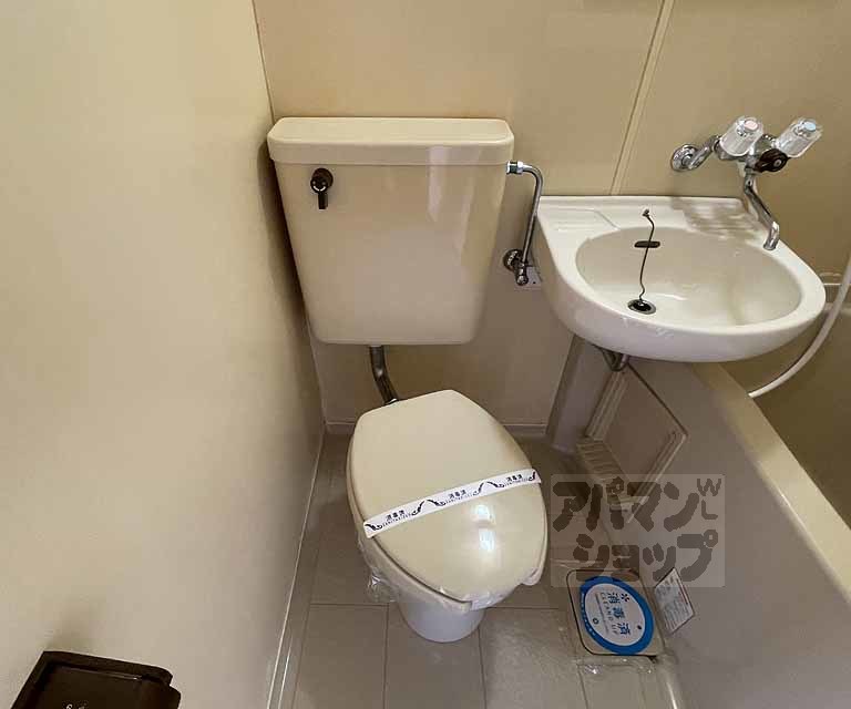 メゾン・ド・パルミエのトイレ写真