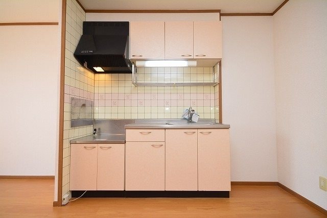 キッチン　※別号室の写真です。