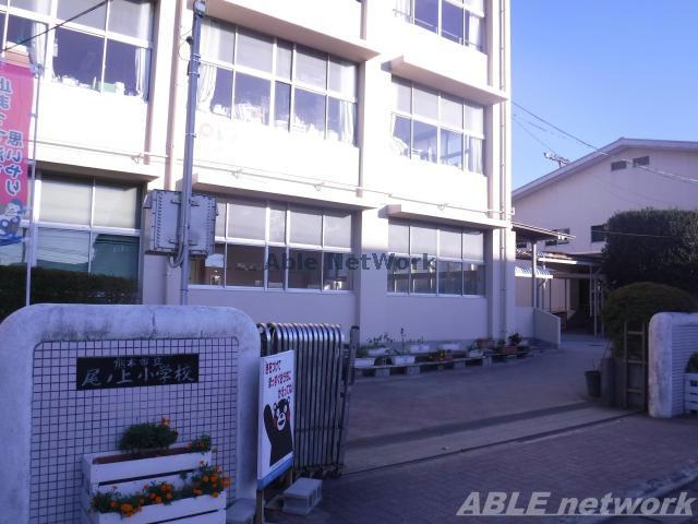 小学校　熊本市立尾ノ上小学校（小学校）まで271m