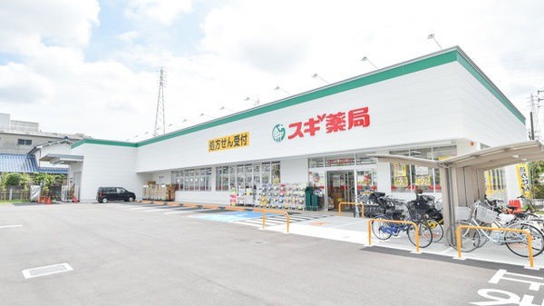 ドラックストア　スギ薬局尼崎西立花店（ドラッグストア）まで309m