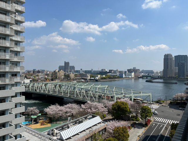眺望　春は桜がきれい。スカイツリーも見えます！
