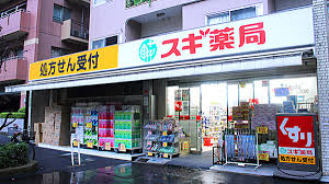 ドラックストア　スギ薬局白山通り店（ドラッグストア）まで538m