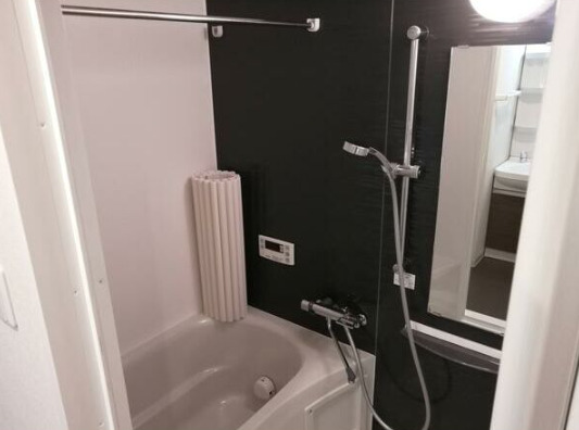 バス・シャワールーム　すっきりとしたシャワールームです