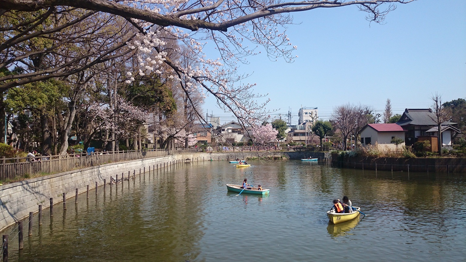 【ル・ダルジャンTOKOの公園】