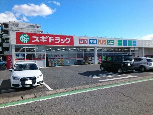 【高崎市中居町のマンションのドラックストア】