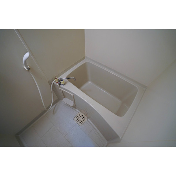 バス・シャワールーム　同じ建物の別なお部屋