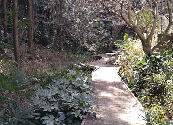 公園　戸塚公園（公園）まで800m