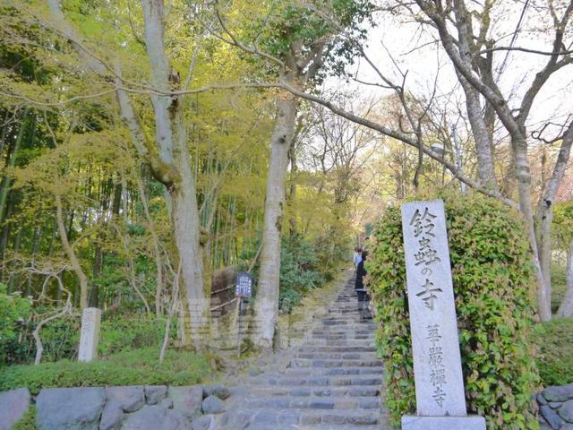 スーパー　業務スーパー　洛西店（スーパー）まで917m