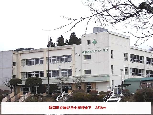 小学校　緑が丘小学校（小学校）まで250m
