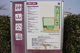 公園　神山公園（公園）まで498m
