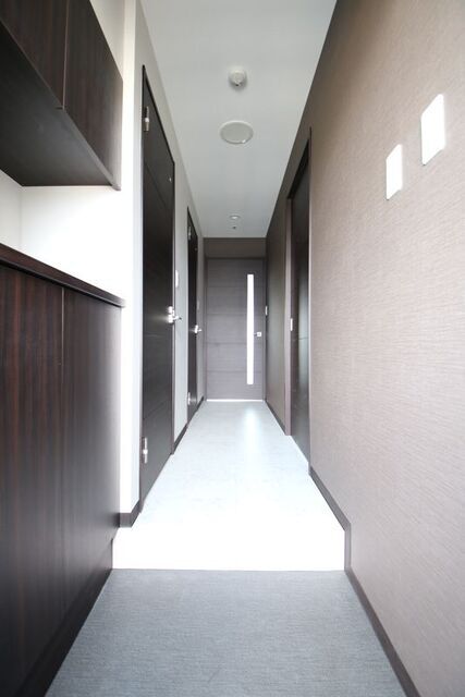 玄関　※違う号室の参考写真です。