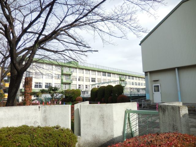 小学校　市立柏木小学校（小学校）まで510m