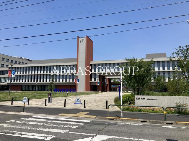 大学・短大　文教大学東京あだちキャンパス（大学・短大）まで1066m