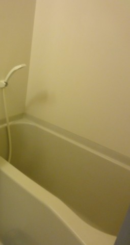 バス・シャワールーム　同物件、別号室のものです。