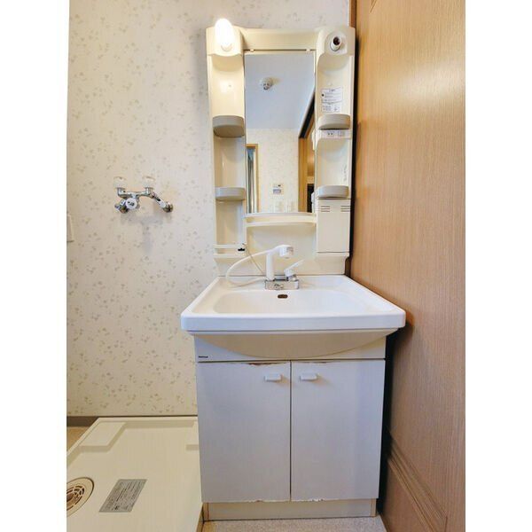 洗面設備　※写真は別号室です。
