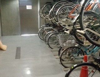 駐車場　駐輪場です。