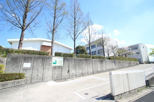 小学校　長久手市立南小学校（小学校）まで969m