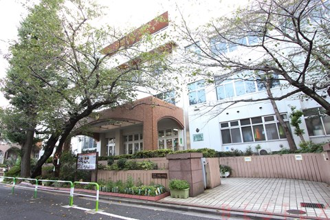 小学校　文京区立汐見小学校（小学校）まで797m