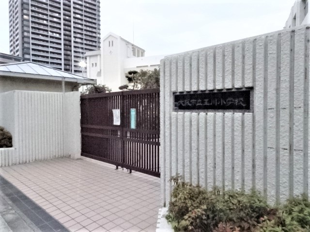小学校　玉川小学校（小学校）まで408m