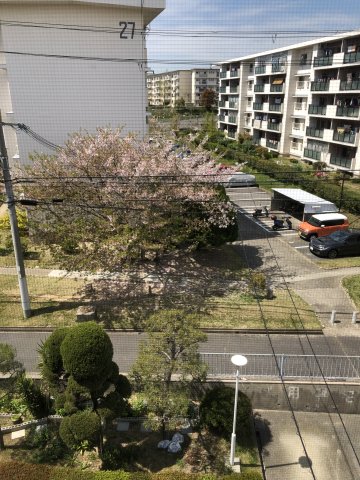 眺望　和室からの眺めです