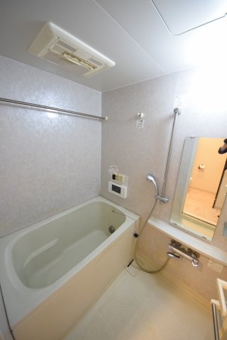 バス・シャワールーム　エステムコート心斎橋ＥＡＳＴIIラヴァンツァ　浴室