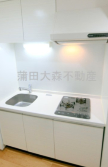 キッチン　2口ガスシステムキッチン