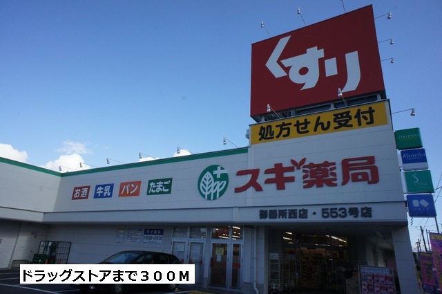 ドラックストア　スギ薬局（ドラッグストア）まで300m