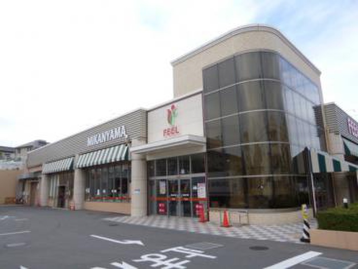 スーパー　ＦＥＥＬみかん山店（スーパー）まで1227m