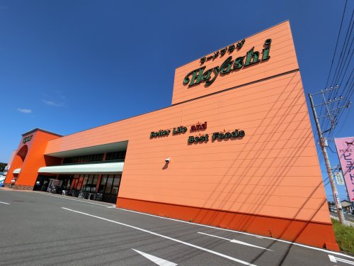 スーパー　フードプラザハヤシ大網店（スーパー）まで3951m