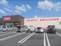 ドラックストア　コスモス与謝野店（ドラッグストア）まで600m