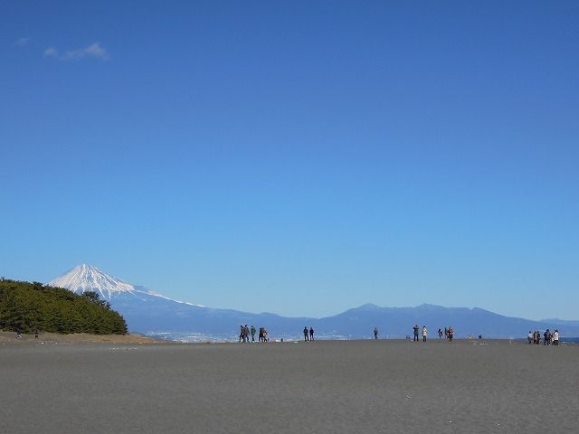 その他　三保松原（その他）まで1100m