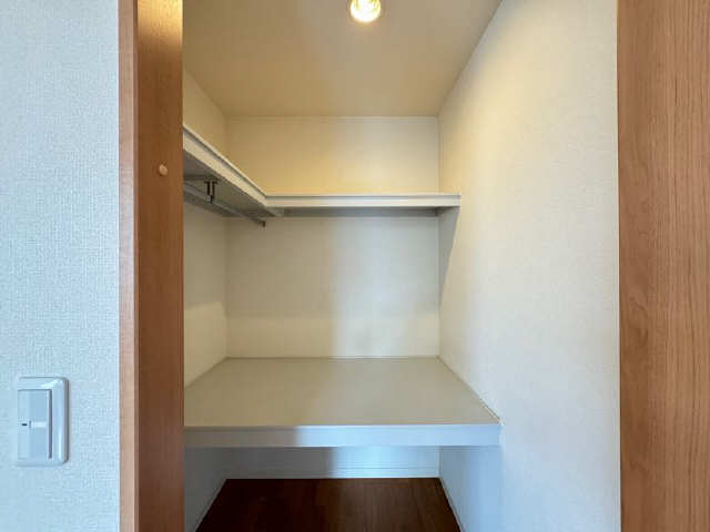 収納　ウォークインクローゼット